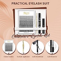 Quewel Diy Eyelash Extensions Kit 144 Pcs Lash Clusters Eyelash Applicator Tool Super Hold Bond And Seal Clusters Lash Glue R