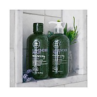 Paul Mitchell Tea Tree Lavender Mint Shampoo, 10.14 oz