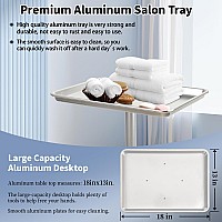 Salon Tray Cart On Wheelsheight Adjustable Color Traysalon Service Rolling Traypremium Aluminum Color Tray For Hair