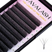 Vavalash Wshaped Eyelash Extension 5D Premade Fans 007 D Curl Volume Lash Extensions Easy Fanning Lashes Matte Black Volume Pr