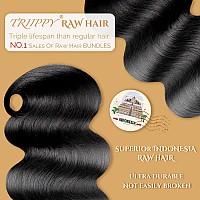 Triippy Raw Human Hair Bundlestriple Lifespan Than Regular Virgin Hair No1 Sales Of Raw Hair Bundles 16 18 20 Inches Cambodia