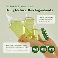 Steambase Tea Tree Scalp Water Scaler Miniature Travel Size Scalp Treatment Natural Bha Tea Tree Oil Remove Hair Odor