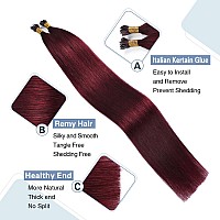 Sunya I Tip Hair Extensions Human Hair 20 Inch Burgundy Pre Bonded I Tip Hair Extensions Real Human Hair Cold Fusion I Tip Hair