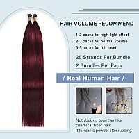 Sunya I Tip Hair Extensions Human Hair 20 Inch Burgundy Pre Bonded I Tip Hair Extensions Real Human Hair Cold Fusion I Tip Hair