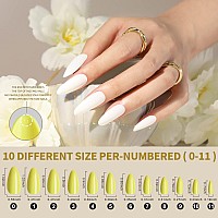 Press On Nails Almond Fandamei 12 Colors 288Pcs Press On Nails Medium Almond Glossy Glue On Nails Short With Nail Glue Acryli