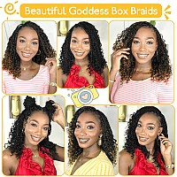 Fulcrum Goddess Box Braids Crochet Hair 12 Inch 9 Packs Box Braids Crochet Hair For Women Crochet Braids With Curly Ends 12In