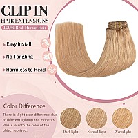 Huayi Clip In Hair Extensions Golden Brown Reaal Human Hair 70G 15Inch 7Pcs Double Weft Silky Straight Human Hair