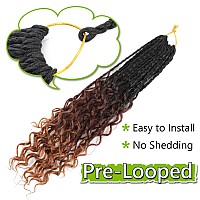 8 Packs Crochet Box Braids Hair 14 Inch Crochet Box Braids Hair Pre Loopled Crochet Hair With Curly Ends Goddess Box Braids Cro