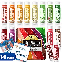 Yopela 14 Pack Natural Lip Balm In Bulk With Vitamin E And Coconut Oil Moisturizing Soothing And Repairing Dry And Chapped L