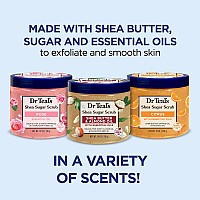 Dr Teals Shea Sugar Scrub Trial Pack Rose Shea Butter Citrus 19 Oz Pack Of 3 Packaging May Vary