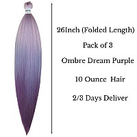 Leticia Ombre Dream Purple Braiding Hair Pre Stretched Kanekalon Braiding Hair