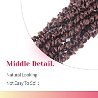 The Bohobabe Pretwisted Passion Twist Crochet Hair 14 Inch Short Prelooped Crochet Passion Twist Braiding Hair 8 Packs 30 L