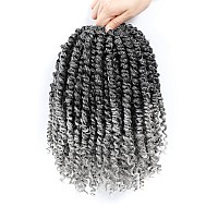 Passion Twist Hair 10 Inch 8 Packs Pre Twisted Passion Twist Crochet Hair For Black Women Pre Looped Passion Twist Curly Croch