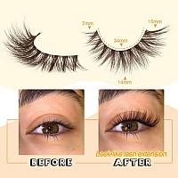 Brown Lashes Strip Natural Looking Cat Eye Lashes Brown Eyelashes Wispy Fluffy Clear Band Brown Eye Lash Pack 8 Pairs