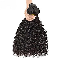 Water Wave Human Hair Bundles Brazilian Virgin Hair 3 Bundles 10 12 14 Inch 100 Unprocessed 12A Curly Hair Weave Wet And Wavy 3