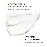 Beekman 1802 Coconut Cream Whipped Body Cream Scented 8 Oz Moisturizes Soothes Softens With Coconut Oil Mango Seed