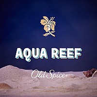 Old Spice Aluminum Free Body Spray For Men Aqua Reef 51 Oz Pack Of 3