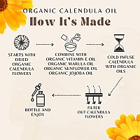 Organic Calendula Oil For Sensitive Skin Usda Certified 100 Plant Based Lightweight Unscented Gentle Soothing Oil For Sens