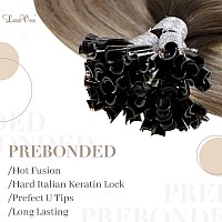 Laavoo U Tip Hair Extensions Human Hair Dark Brown Ombre Light Brown Mix Blonde Balayage Ktip Human Hair Extensions 14 In Short