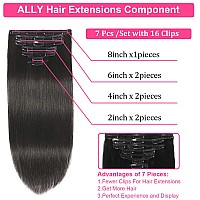 Ally Clip In Hair Extensions Real Human Hair Remy Human Hair Clip In Hair Extensions For Women Double Weft Invisible Straight Se