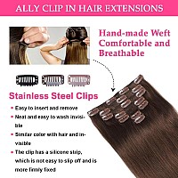 Ally Clip In Hair Extensions Real Human Hair 100 Unprocessed Brazilian Remy Human Hair For Women Double Weft Handmade Straig