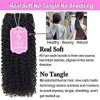 Rolisy Kinky Curly Clip In Hair Extensions Human Hair 22 Inch Curly Hair Extensions Clip In Human Hair For Black Women 3C 4A 4B