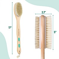 Slick Shower Brush Double Sided Shower Brush Back Scrubber Bath Brush Back Brush Back Brush Long Handle For Shower Shower