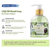 Romiie Zoi Liquid Hand Soap With Gift Box Olive 260Ml 87 Floz Pack Of 3