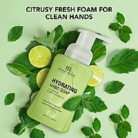 Botanic Hearth Advanced Care Hydrating Foaming Hand Soap With Castor Oil Lemon Peel Extract Peppermint Gentle Hydrating F