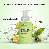 Botanic Hearth Advanced Care Hydrating Foaming Hand Soap With Castor Oil Lemon Peel Extract Peppermint Gentle Hydrating F