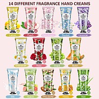 Vespro 56Pack Hand Cream Gifts Set For Women Bulk Hand Lotion Travel Size For Dry Cracked Hands Mini Hand Lotion For Teacher A