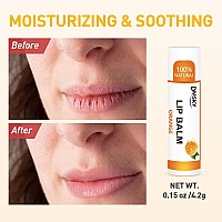 Dmsky 240 Pack Lip Balm Natural Lip Balm Bulk With Vitamin E And Coconut Oil Lip Halm Hydrating For Chapped Lips Gifts For Wo