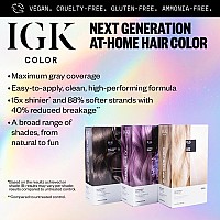 Igk Permanent Color Kit 2Pack Titanium Pure Cool Gray Ba Easy Application Strengthen Shine Vegan Cruelty Free A