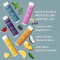 Alida Pure Duet Lip Balm Collection Vegan Lip Balm Set Beeswax Free With Avocado Oil Organic Jojoba Oil And Vitamin E Natu