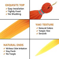 Rainbow Color Pre Stretched Braiding Hair 2 Packs Pre Feathered Braid Hair Extensions 30 Inches Kanekalon Hair Braids