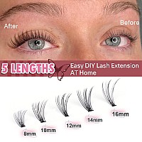 20D Lash Clusters 240Pcs Natural Eyelash Clusters Wispy Cluster Lashes Extension 816Mm C Curl Individual Lashes Diy Eyelash Ext