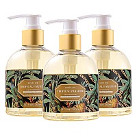 Romiie Zoi Liquid Hand Soap With Gift Box Pure Natures Embrace Tropical Paradise 260Ml 87 Floz Pack Of 3