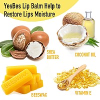 Yesbes Lip Balm 8 Pack Natural Bulk With Vitamin E Coconut Oil Moisturizing Dry Cracked Lips Protection 8 Flavors Stockin