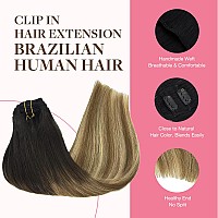 Goo Goo Clip In Hair Extensions Real Human Hair Remy Human Hair Extensions Clip Ins For Women Natural Human Hair 14Inch 150G