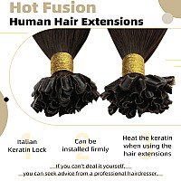 Ugeat Keratin Hair Extensions U Tip Brown Extensions Real Human Hair 16 Inch Dark Brown Fusion Tip Hair Extensions 1Gs 50S