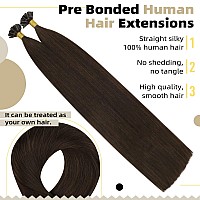 Ugeat Keratin Hair Extensions U Tip Brown Extensions Real Human Hair 16 Inch Dark Brown Fusion Tip Hair Extensions 1Gs 50S