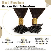 Ugeat Hair Extensions U Tip Balayage Human Hair Extensions 14 Inch Remy Human Hair Keratin Fusion Tip Hair Extensions Chocolate