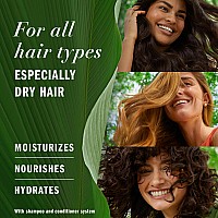 Herbal Essences Sulfate Free Shampoo With Honey For Daily Moisture Nourishes Dry Hair Moisturizing Shampoo With Certified Came