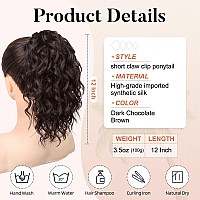 Flufymooz Ponytail Extension 12 Short Claw Ponytail Extension Wavy Curly Jaw Clip In Pony Tails Hair Extension Natural Synthe