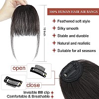 Lommel Clip In Bangs100 Human Hair Bangs Brown Black Fake Bangs For Women Wispy Bangs Hair Clip Hair Extensions Clip On Air Ba