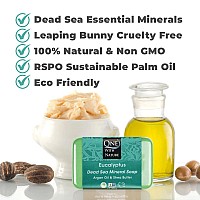 One With Nature Eucalyptus Soap Bar 7Oz Bar 3Pack Shea Butter Argan Oil Enriches Dead Sea Mineral Soap Contains 21 Essential