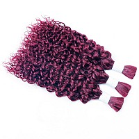 Liqusee Water Wave Curly 99J Human Braiding Hair 100G One Bundlepack Bulk Human Hair For Braiding No Weft Micro Human Hair Bra