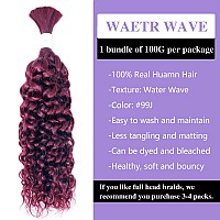 Liqusee Water Wave Curly 99J Human Braiding Hair 100G One Bundlepack Bulk Human Hair For Braiding No Weft Micro Human Hair Bra