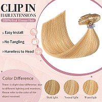 Clip In Hair Extensions Real Human Hair Strawberry Blonde Highlighted Golden Blonde Human Hair Extensions 22Inch 120G 7Pcs Doubl