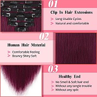 Clip In Hair Extensions Real Human Hair 20 Inch 120G Straight Clip Ins Clip In Hair Extensions Black Women 99J Remy Seamless Cli